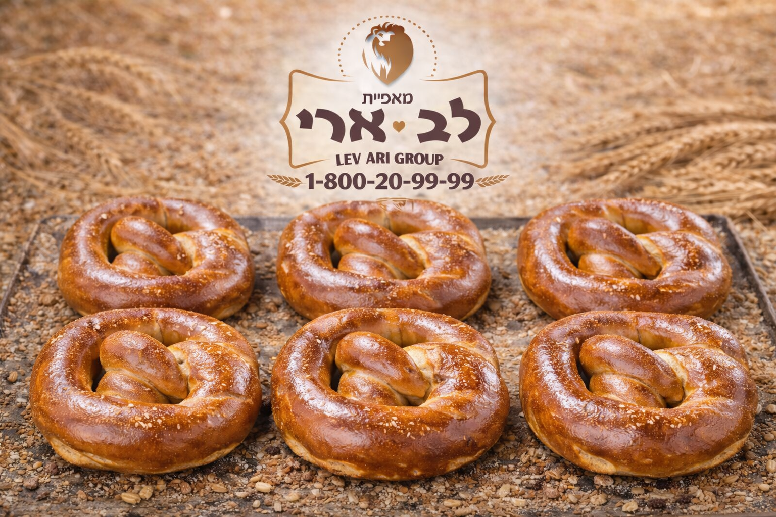 בייגל פרצל משקפיים